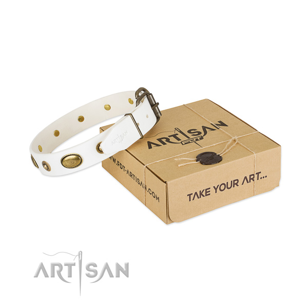 Stunning leather collar for your beautiful dog
