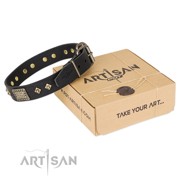 Top quality leather collar for your handsome canine