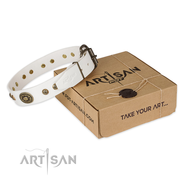 Rust resistant fittings on full grain leather dog collar for daily walking