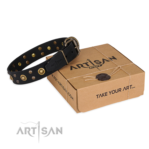 Strong traditional buckle on full grain leather collar for your beautiful four-legged friend