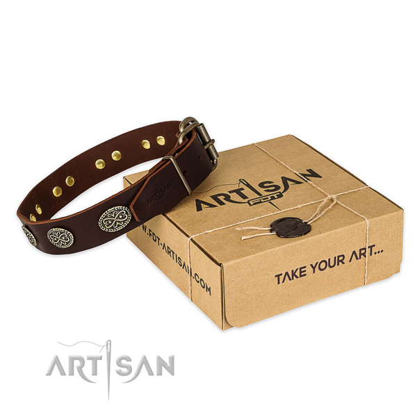 Corrosion proof fittings on full grain genuine leather collar for your lovely canine