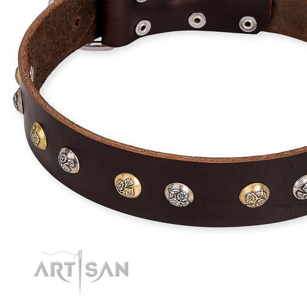 Full grain genuine leather dog collar with awesome rust-proof embellishments