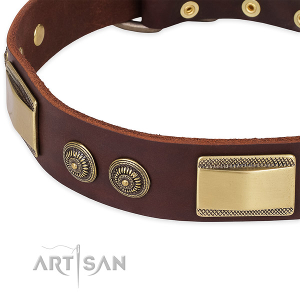 Reliable D-ring on leather dog collar for your dog