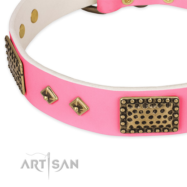 Genuine leather dog collar with adornments for daily use