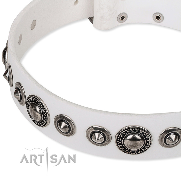 Daily use adorned dog collar of high quality full grain genuine leather