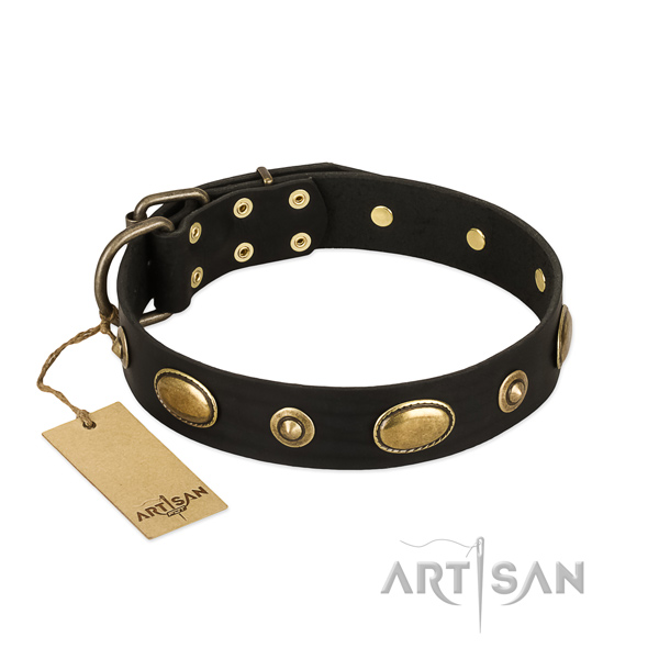 Designer natural leather collar for your four-legged friend