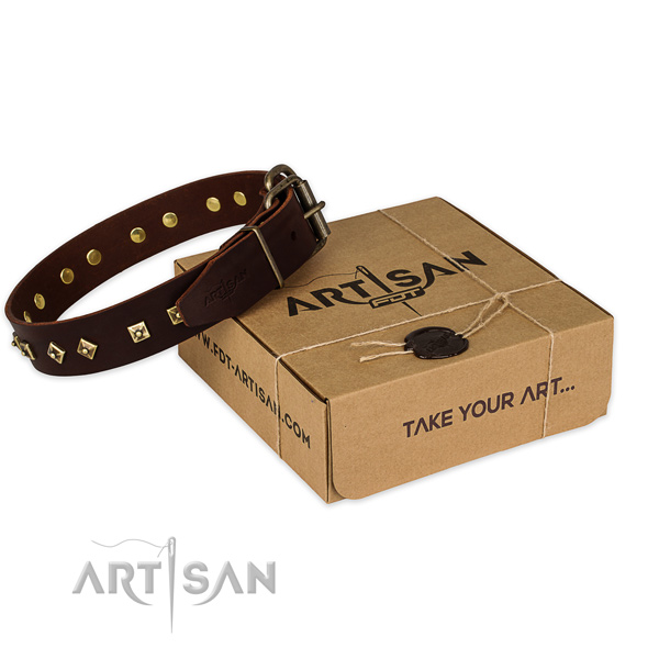 Durable D-ring on full grain natural leather dog collar for handy use