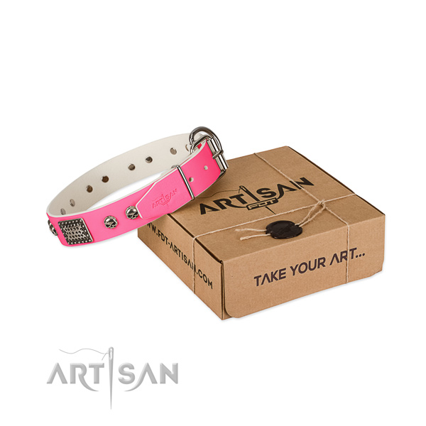 Strong studs on dog collar for everyday walking
