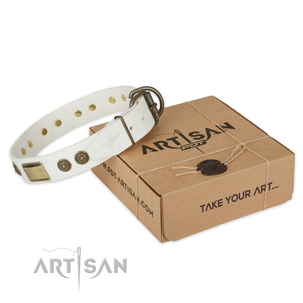 Corrosion proof buckle on leather dog collar for daily use