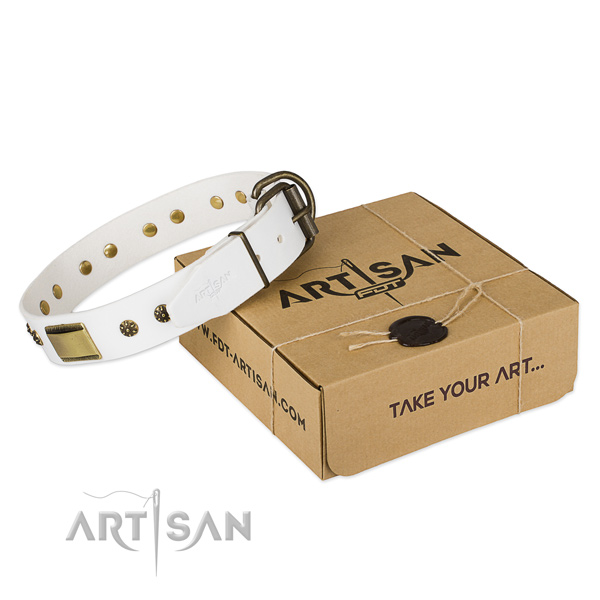 Exquisite genuine leather collar for your lovely pet