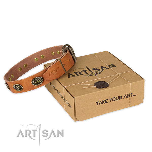 Strong traditional buckle on genuine leather collar for your beautiful four-legged friend