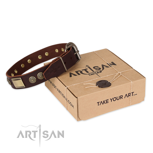 Reliable fittings on natural genuine leather dog collar for basic training