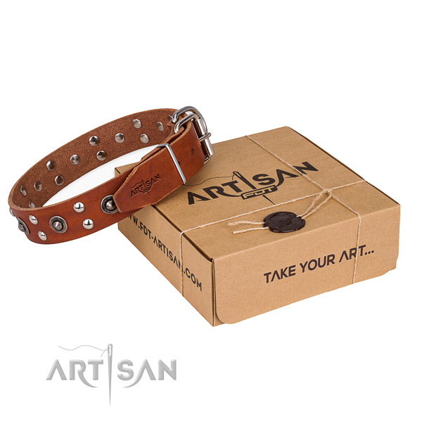 Corrosion resistant traditional buckle on genuine leather collar for your impressive dog
