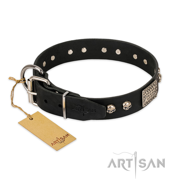 Corrosion proof fittings on handy use dog collar