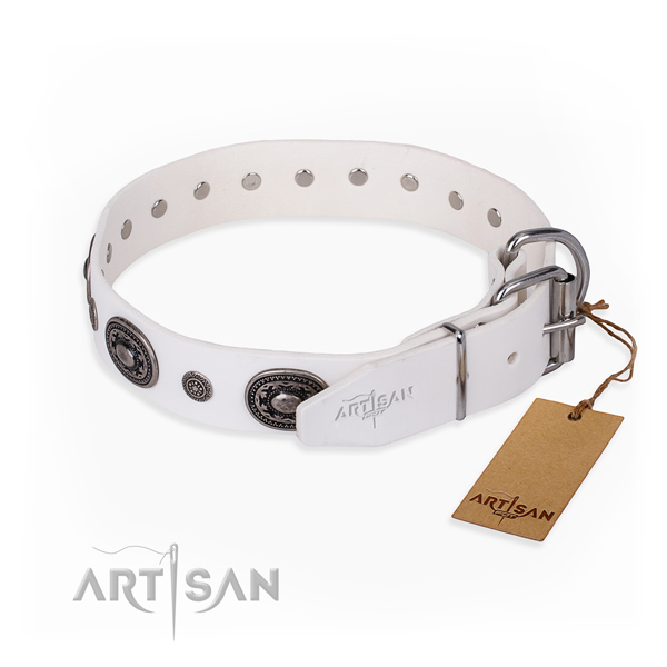 Durable full grain leather dog collar made for everyday walking