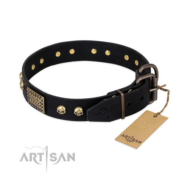 Rust resistant decorations on basic training dog collar