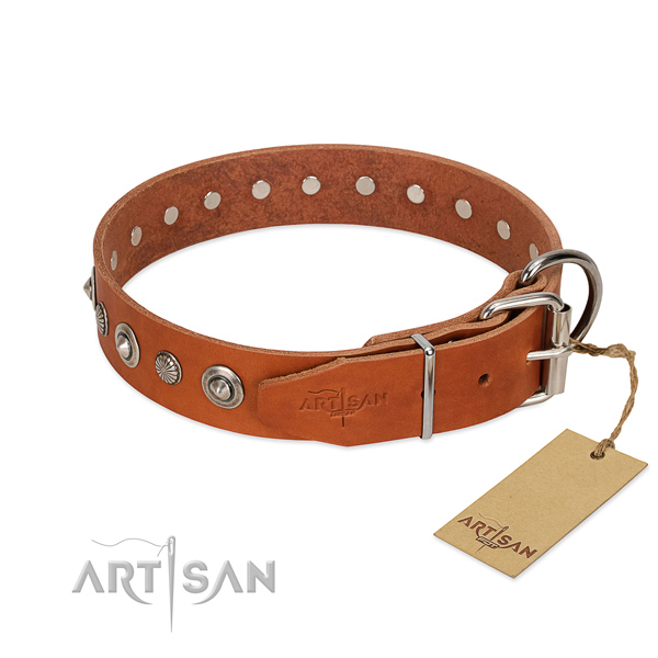 Strong leather dog collar with unique studs