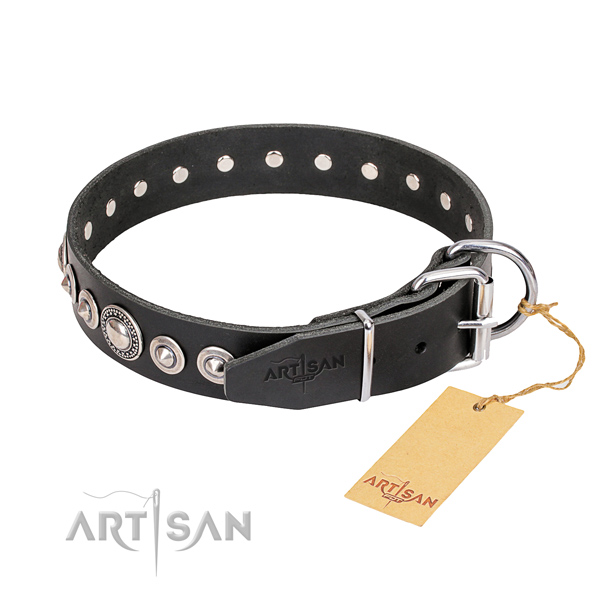 Durable studded dog collar of genuine leather