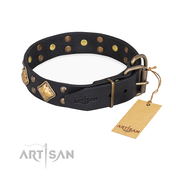 Full grain leather dog collar with inimitable durable studs