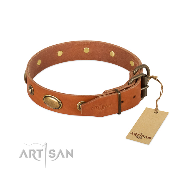 Rust resistant buckle on full grain leather dog collar for your pet