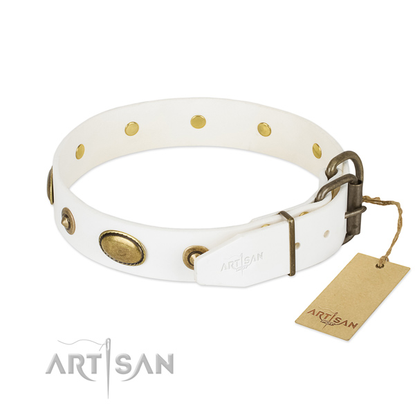 Rust resistant fittings on full grain natural leather dog collar for your four-legged friend