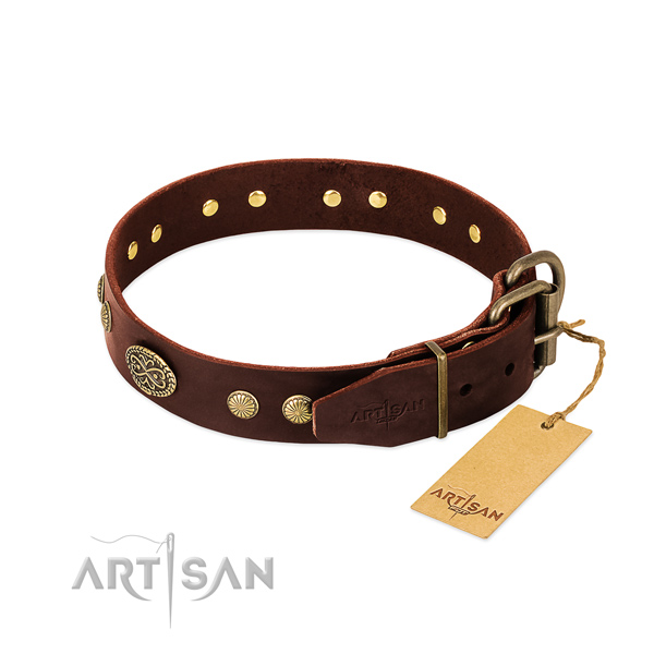 Corrosion resistant embellishments on Genuine leather dog collar for your canine