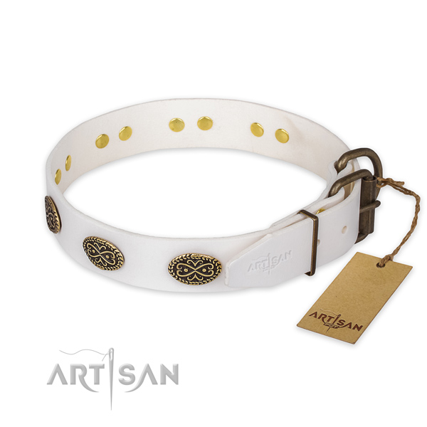 Rust-proof traditional buckle on leather collar for walking your canine