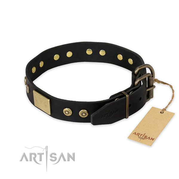 Strong traditional buckle on genuine leather collar for everyday walking your four-legged friend