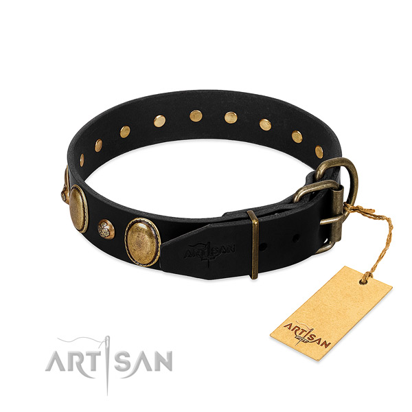 Corrosion resistant fittings on full grain genuine leather collar for walking your dog