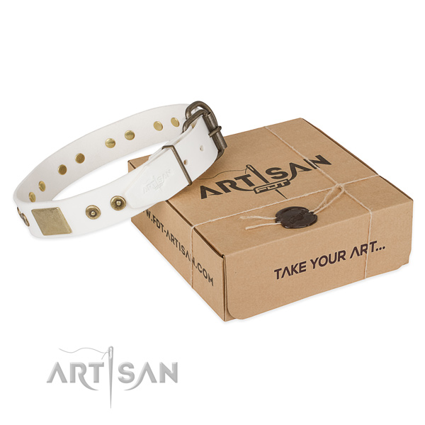 Decorated full grain leather collar for your stylish four-legged friend