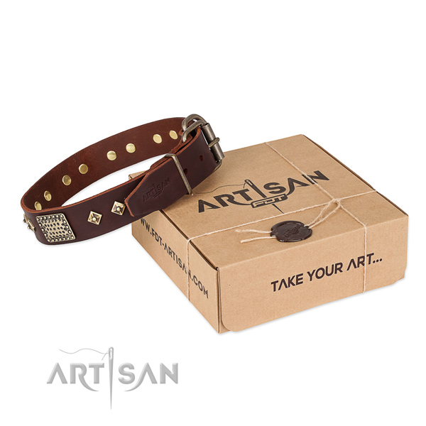 Easy wearing leather collar for your beautiful four-legged friend