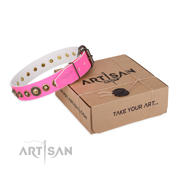 Top rate full grain leather dog collar handcrafted for daily walking