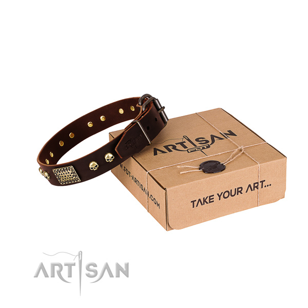 Rust-proof traditional buckle on dog collar for comfortable wearing