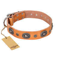 "Twinkle Twinkle" FDT Artisan Incredible Studded Tan Leather English Bulldog Collar