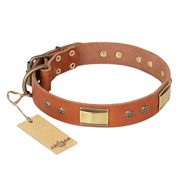 "Enchanting Spectacle" FDT Artisan Tan Leather English Bulldog Collar with Old Bronze Look Plates and Round Studs "Enchanting Spectacle" FDT Artisan Tan Leather English Bulldog Collar with Old Bronze Look Plates and Round Studs