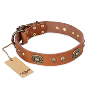 "Stunning Dress" FDT Artisan Tan Leather English Bulldog Collar with Old Bronze Look Plates and Studs