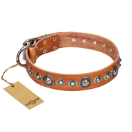 "Daily Chic" FDT Artisan Tan Leather English Bulldog Collar with Decorations "Daily Chic" FDT Artisan Tan Leather English Bulldog Collar with Decorations