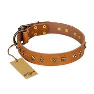 "Autumn Story" FDT Artisan Leather English Bulldog Collar with Old Bronze Look Studs "Autumn Story" FDT Artisan Leather English Bulldog Collar with Old Bronze Look Studs