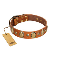 "Venus Breath" FDT Artisan Tan Leather English Bulldog Collar with Vintage Looking Oval and Round Studs