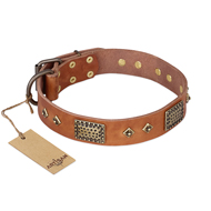 "Catchy Look" FDT Artisan Decorated Tan Leather English Bulldog Collar "Catchy Look" FDT Artisan Decorated Tan Leather English Bulldog Collar