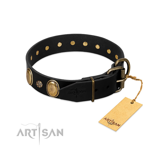 Walking top notch full grain natural leather dog collar
