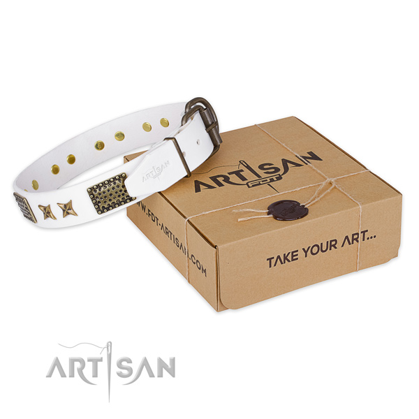 Corrosion proof fittings on genuine leather collar for your handsome four-legged friend