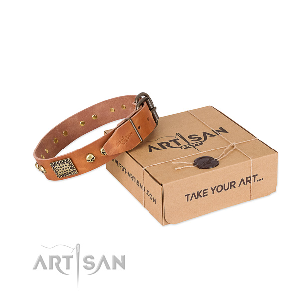 Durable buckle on dog collar for stylish walking