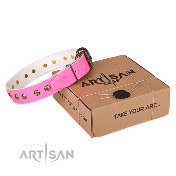 Strong hardware on leather collar for your lovely canine