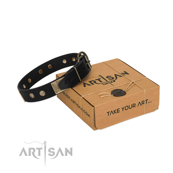 Rust-proof fittings on dog collar for everyday walking