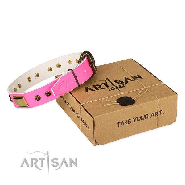 Handcrafted genuine leather collar for your impressive canine