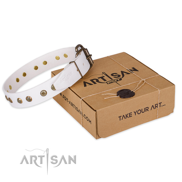 Reliable traditional buckle on full grain genuine leather collar for your attractive pet