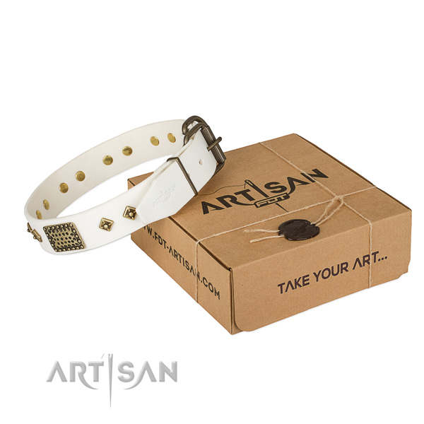 Exceptional genuine leather collar for your lovely doggie