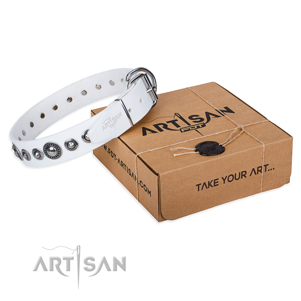 Full grain natural leather dog collar made of soft material with rust-proof hardware
