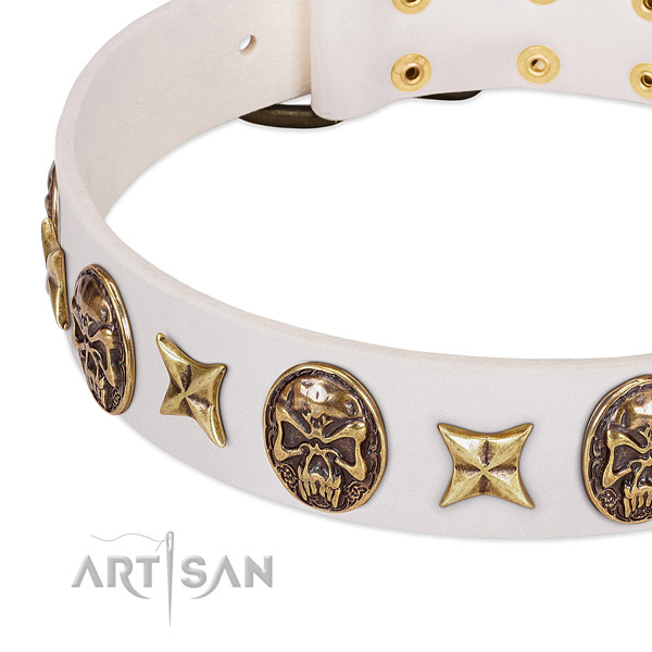 Easy to adjust dog collar handcrafted for your beautiful pet